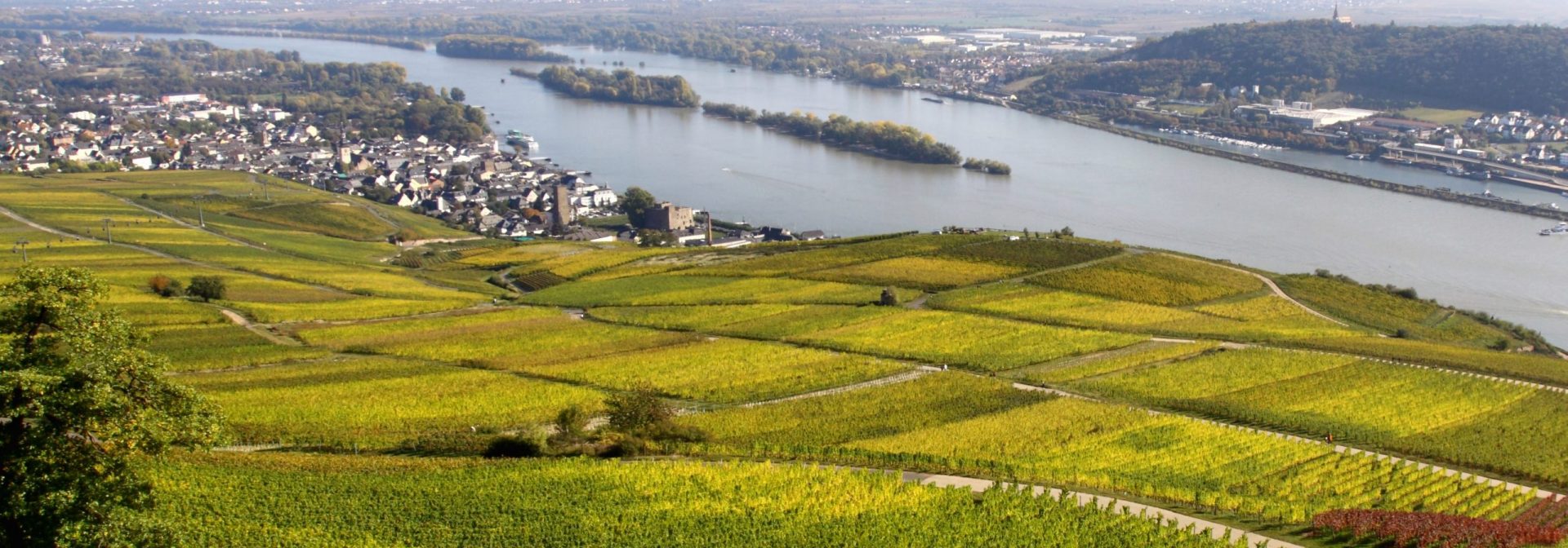 Immobilienmakler und DEKRA-Sachverständige • Mainz • Bingen • Rheinhessen Rheingau • Wiesbaden - Mills Immobilien