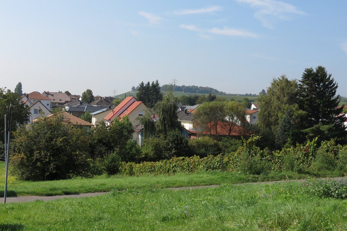 GAGFAH Häuser Sicht von Weinbergen