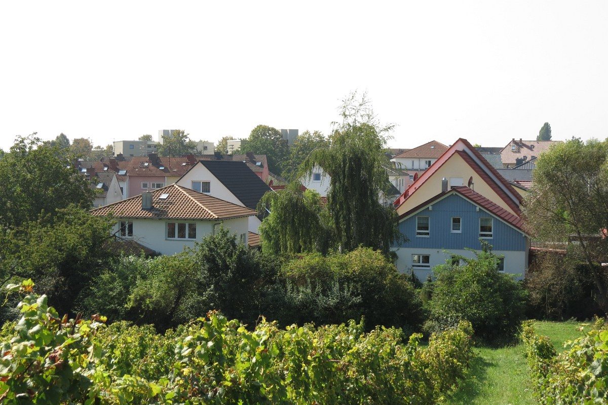 GAGFAH Häuser Sicht von Weinbergen