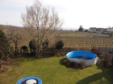 Direkt an den Weinbergen mit Blick! - Bild2