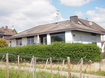 Lage, Lage, Lage! Freistehender Bungalow direkt an den Weinbergen in Oestrich-Winkel (Verkauft!) - Bild2