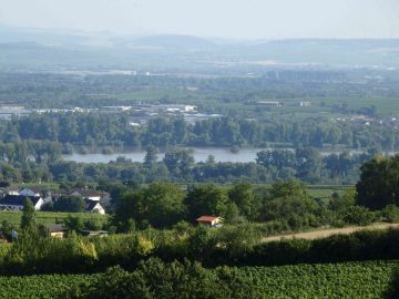 **Zwangsversteigerung - Provisionsfrei** Weingut und Privathaus mit unverbaubarem Rheinblick! - Bild1