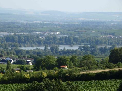 **Zwangsversteigerung – Provisionsfrei** Weingut und Privathaus mit unverbaubarem Rheinblick!, 65366 Geisenheim, Wohn- und Geschäftshaus