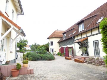 **Zwangsversteigerung - Provisionsfrei** Weingut und Privathaus mit unverbaubarem Rheinblick! - Bild4
