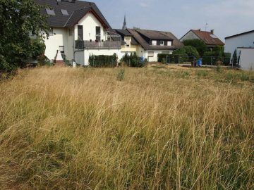 Baugrundstück für DHH Top-Lage - Bild5