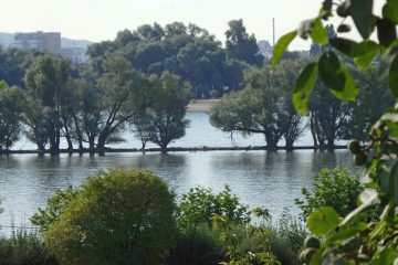 2 Häuser mit Rheinblick - Bild4