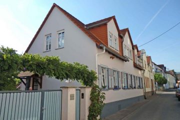 Großes ruhig gelegenes Haus mit ELW in Oestrich - Bild1