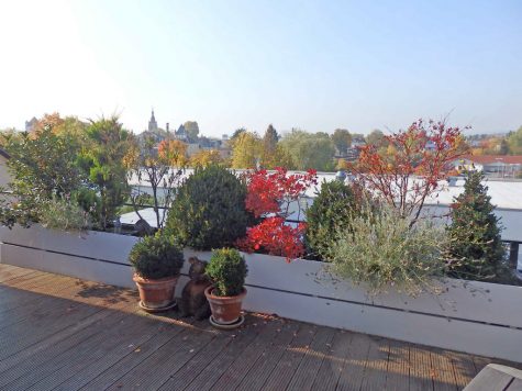 WOHNEN UND/ODER ARBEITEN – Lichtdurchflutete Penthouse-Wohnung mit Loggia und Sauna, 65343 Eltville am Rhein, Wohnung