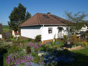 Charmanter freistehender Bungalow in ruhiger Lage, 65366 Geisenheim, Einfamilienhaus