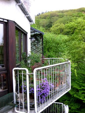 Am Waldrand: 3,5 ZKB-Balkon + 1 ZKB-T, Garten (2 Wohnungen = 1 Preis) - Bild1
