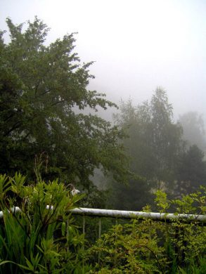 Am Waldrand: 3,5 ZKB-Balkon + 1 ZKB-T, Garten (2 Wohnungen = 1 Preis) - Bild2