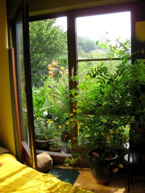 Am Waldrand: 3,5 ZKB-Balkon + 1 ZKB-T, Garten (2 Wohnungen = 1 Preis) - Bild3