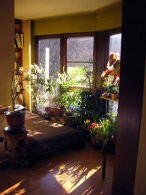 Am Waldrand: 3,5 ZKB-Balkon + 1 ZKB-T, Garten (2 Wohnungen = 1 Preis) - Bild4