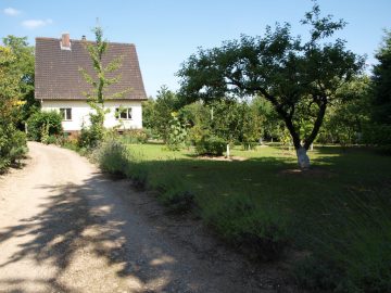 Landhaus auf 3.000 m² Grundstück + erhebliche weitere Flächen - Bild3