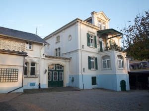 Weingut in Geisenheim (Denkmal) Herrenhaus, Winzerhaus + Park, 65366 Geisenheim, Weinbau