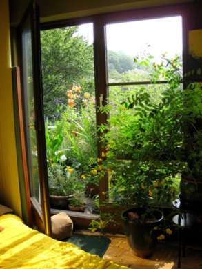 Am Waldrand: 3,5 ZKB-Balkon + 1 ZKB-T, Garten (2 Wohnungen = 1 Preis) - Bild3
