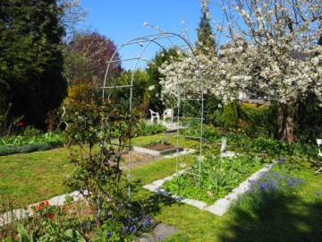 Haus mit großem Traumgarten - Ruhige 1-A Lage - Bild4