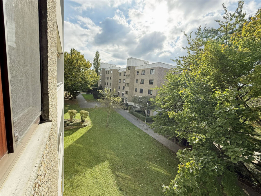 Blick ins Grüne