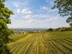 Weitblick zum Wohlfühlen: Top geschnittene Eigentumswohnung mit zwei Balkonen in traumhafter Feldrandlage - Bild9