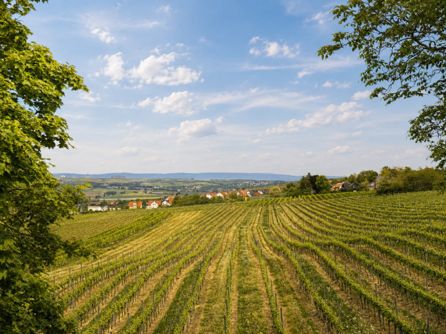 Bild9