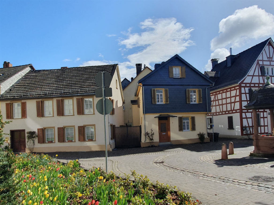 Bild4