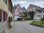 Bild5