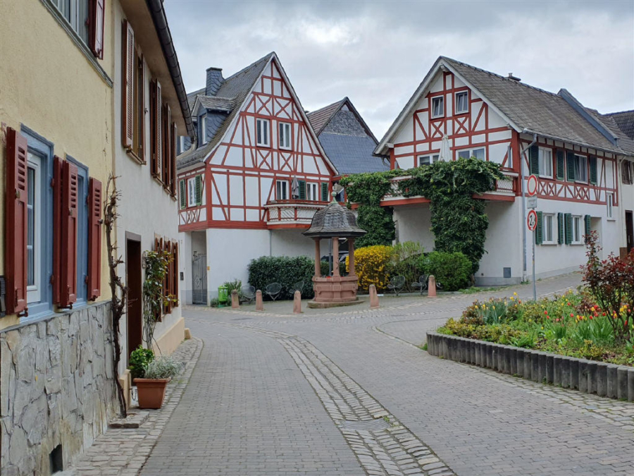 Bild5