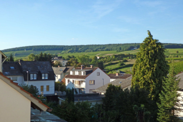 Großzügiges, saniertes Haus - Schöne Wohnlage - freistehend - familienfreundlich - Bild4