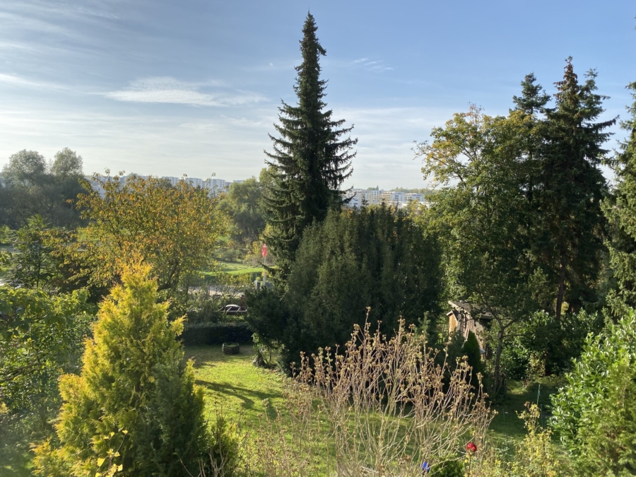 Ausblick 1