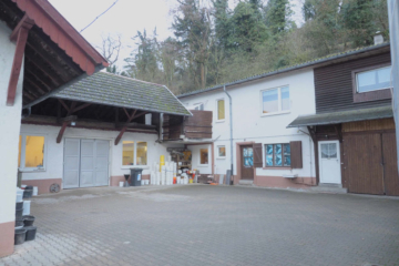 Charmantes Mehrfamilienhaus + Haus mit Halle - Bild3