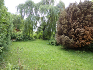 Saniertes 1-2 Familienhaus in idyllischer Wohnlage mit Bachlauf und Blick ins Grüne - Bild4