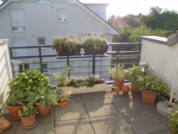 Wiesbaden: Top - Galeriewohnung mit Süd-West-Loggia - Bild5