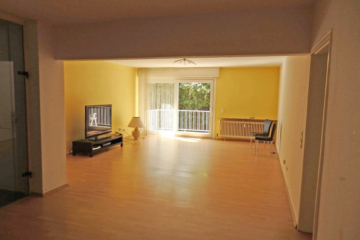 Gut vermietete Wohnung in toller Citylage - am Kurpark (3-4 ZKB) - Bild3