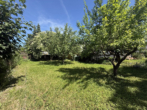 Freistehendes Einfamilienhaus mit schönem Garten in begehrter Feldrandlage von Oestrich-Winkel - Bild3