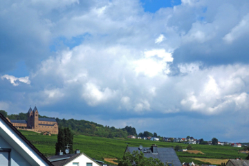 Großes freistehendes Haus mit sonnigem Garten - Bild5