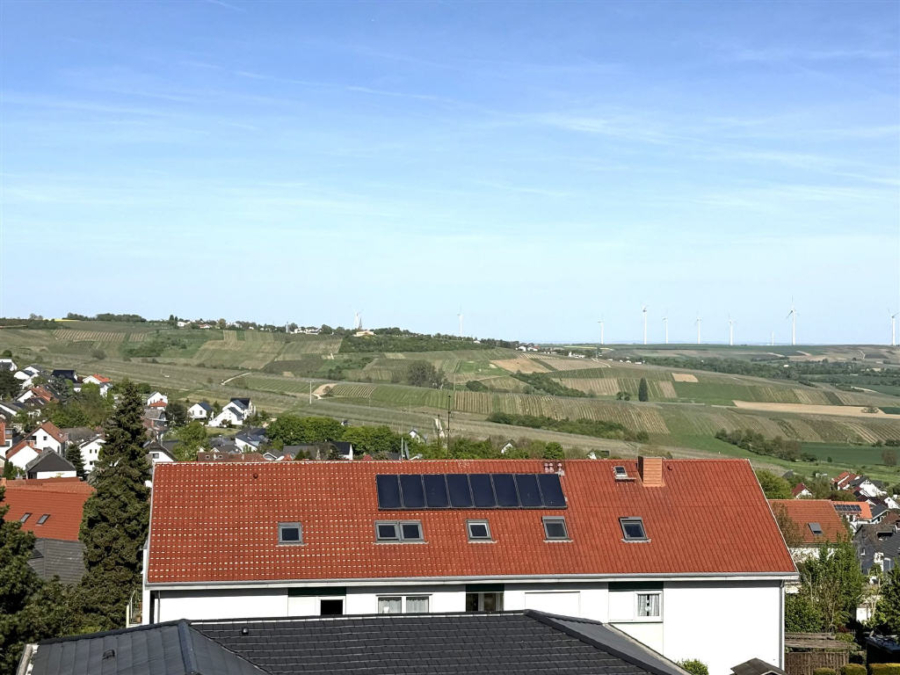 Bild11