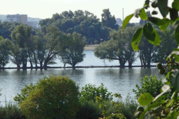 2 Häuser mit Rheinblick - Bild4