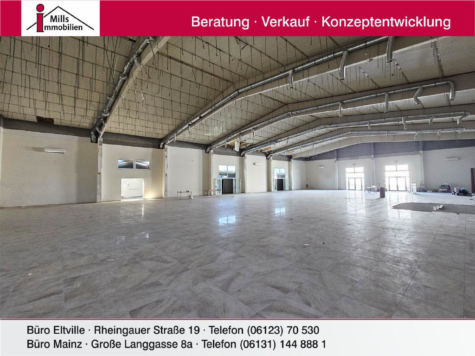 Top Gewerbeimmobilie mit großer Halle, Bürofläche + Betriebsleiterwohnung, 55129 Mainz, Sonstige