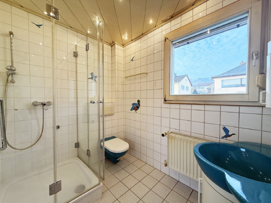 Bild11