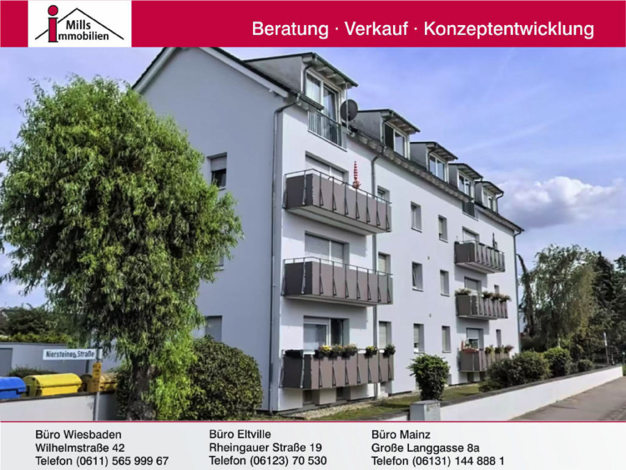 Bild1