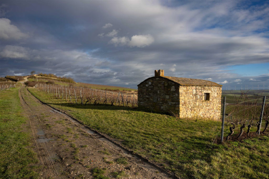 Petersberg in Gau-Odernheim