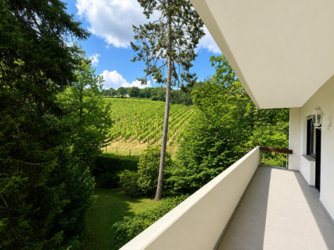 Top-Lage am Neroberg 3-4 ZKB mit 2 Balkonen, Weinbergblick und Aufzug, 65193 Wiesbaden, Etagenwohnung