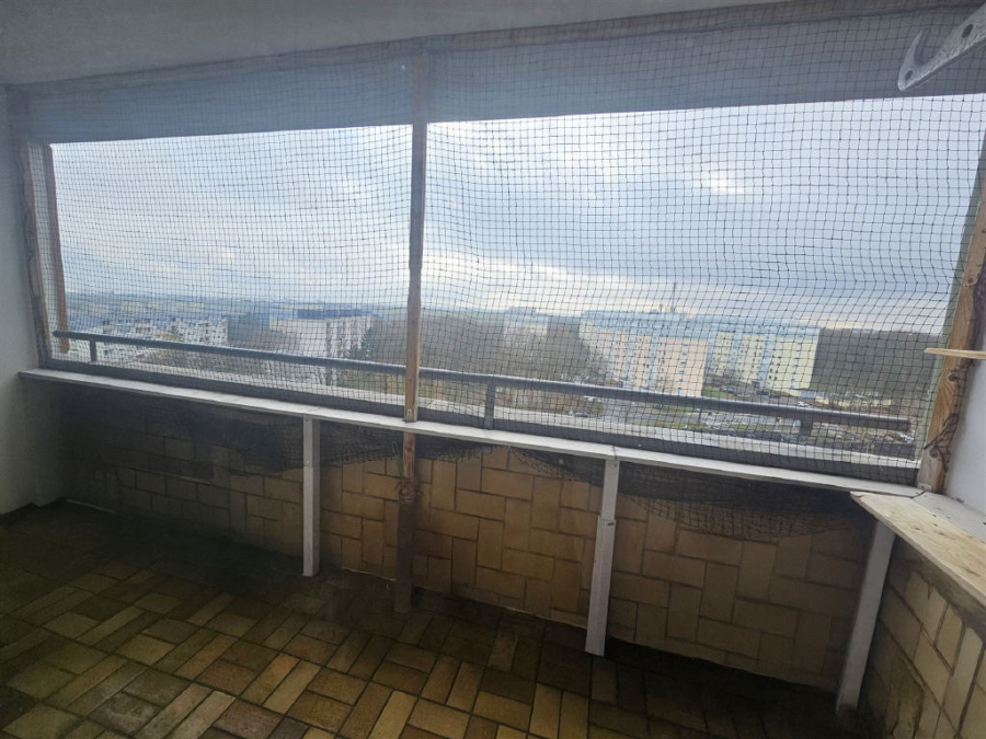 Bild2