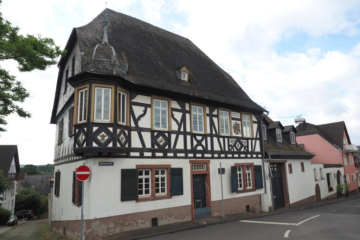 Winzerhaus + 3 Parteienhaus + Scheune - Bild1