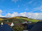 Saniertes Schnäppchenhaus mit Flair und Blick in Ortsrandlage von Eltville-Martinsthal - Bild4