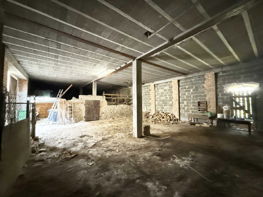 Bild11