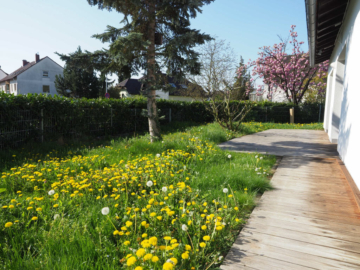 Traumhaus für Zwei - Freistehender Bungalow - Bild3