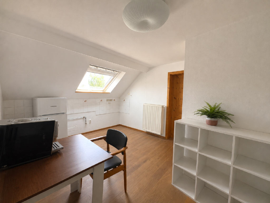 Bild13